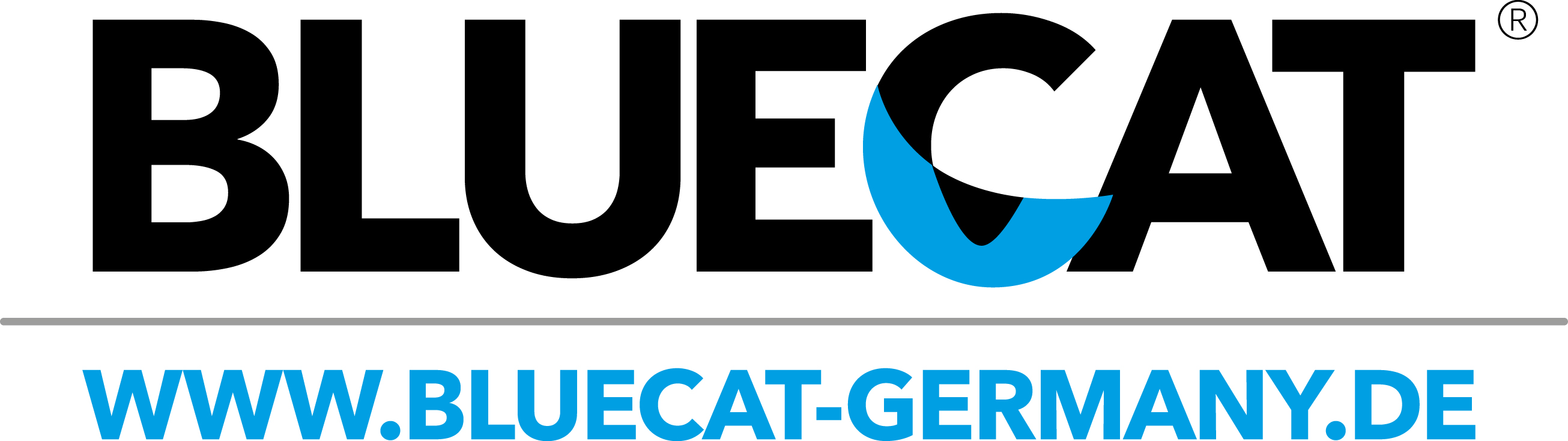 Logo Bluecat